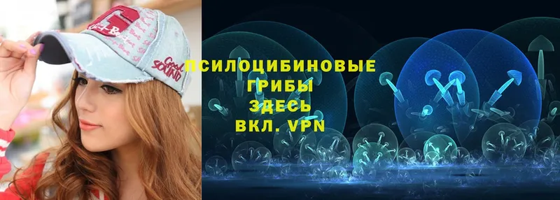 как найти закладки  Нестеров  мега вход  Галлюциногенные грибы MAGIC MUSHROOMS 